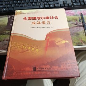 全面建成小康社会成就报告 书籍有破损和水印如图