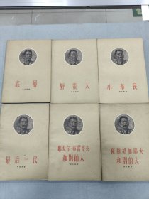 小市民、陀斯契加耶夫和别的人、野蛮人、耶戈尔布雷乔夫和别的人、底层、最后一代，六册合售