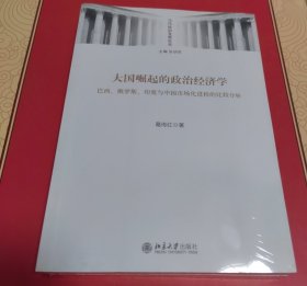 大国崛起的政治经济学：巴西、俄罗斯、印度与中国市场化进程的比较分析