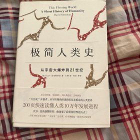 极简人类史：从宇宙大爆炸到21世纪