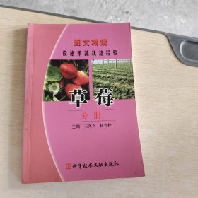 图文精解设施果蔬栽培经验：草莓分册