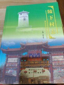 陵下村志