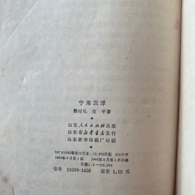 宁海沉浮