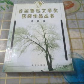 鲁迅文学奖获奖作品丛书：诗歌