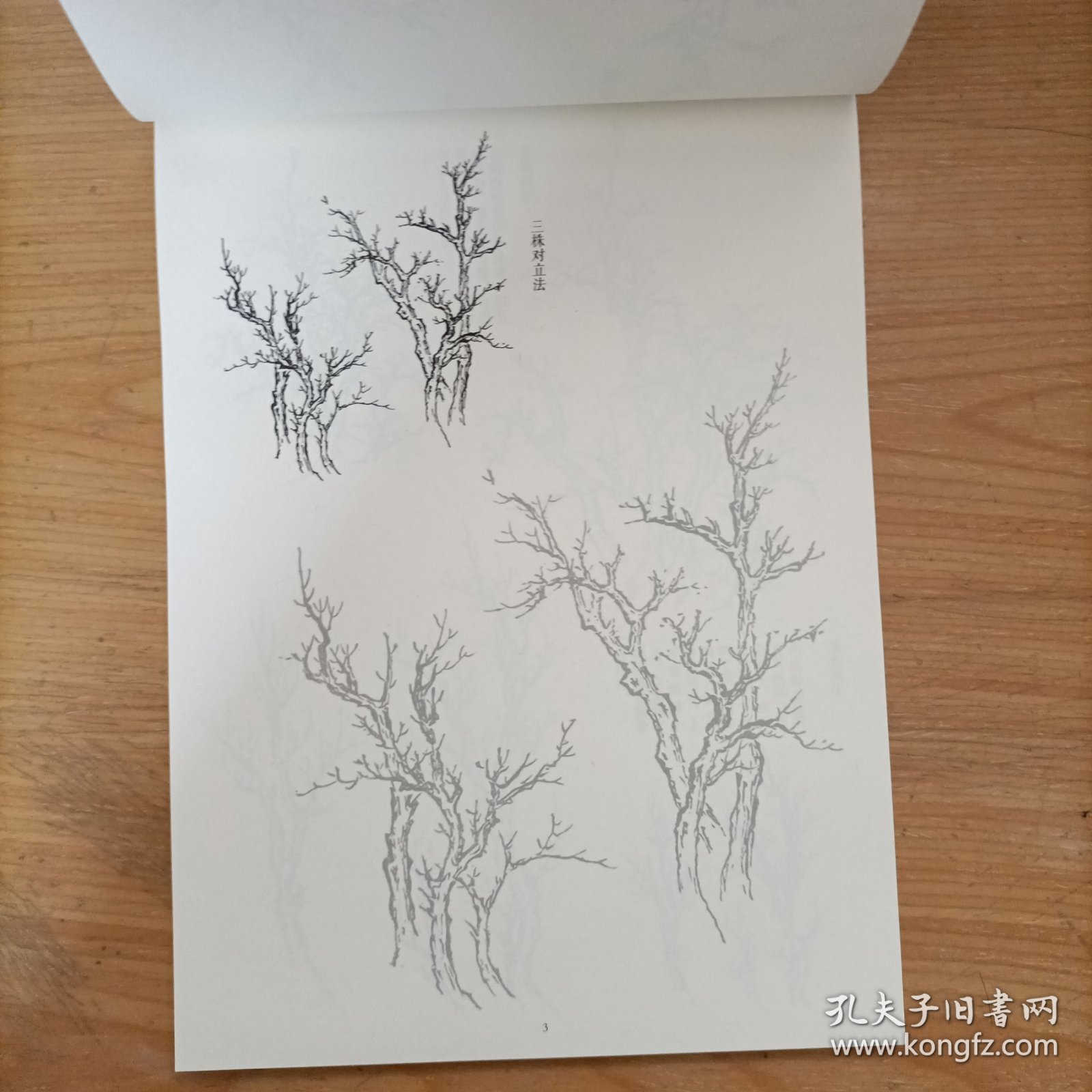 芥子园画传描红本 山水树石卷