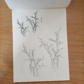 芥子园画传描红本 山水树石卷