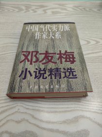 邓友梅小说精选