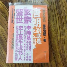 唐朝到底是怎么回事4