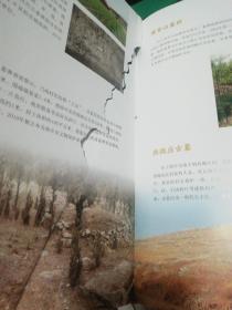 曲阜古迹通览