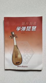 循序漸進(jìn)學(xué)彈琵琶