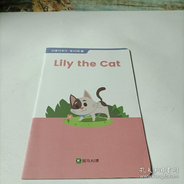 斑马AI课：       lily  the  cat