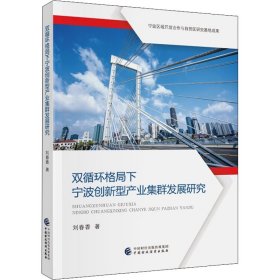 双循环格局下宁波创新型产业集群发展研究 9787522312354