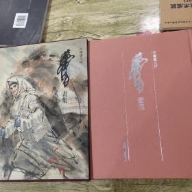 中国画大师黄胄画集(正版)