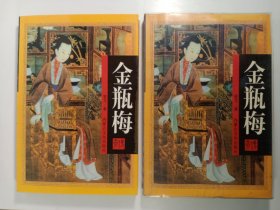 金瓶梅传奇(上下)(1998年)