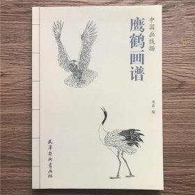 中国画线描 鹰鹤画谱关岩 线描白描画谱零基础绘画工笔白描底稿书