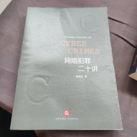 网络犯罪二十讲
