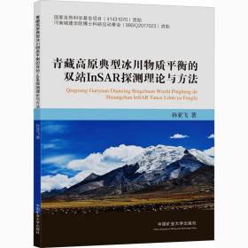 青藏高原典型冰川物质平衡的双站InSAR探测理论与方法