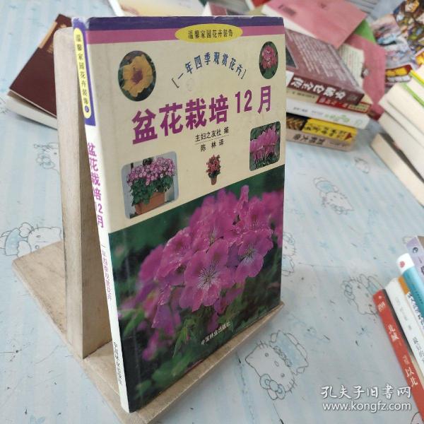 盆花栽培12月：一年四季观赏花卉