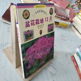 盆花栽培12月：一年四季观赏花卉