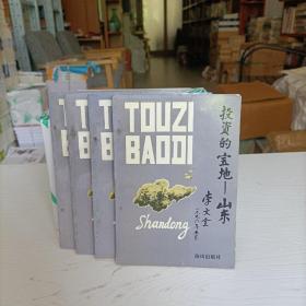 投資的寶地：山東