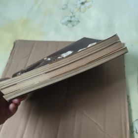 中国五百罗汉图典上中下 3册合售，图书有自然形成的黄斑，内页干净无笔记，详细参照书影