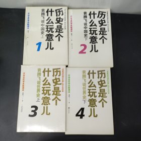 历史是个什么玩意儿1—4册 全四册4本合售 袁腾飞说中国史 袁腾飞说世界史