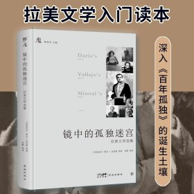 镜中的孤独迷宫：拉美文学选集