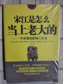 宋江是怎么当上老大的：一个英雄的职场上位史