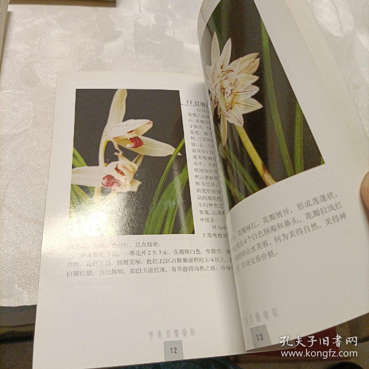 中国兰文化探源、云南名兰赏析、滇兰家养200问