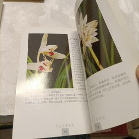 中国兰文化探源、云南名兰赏析、滇兰家养200问