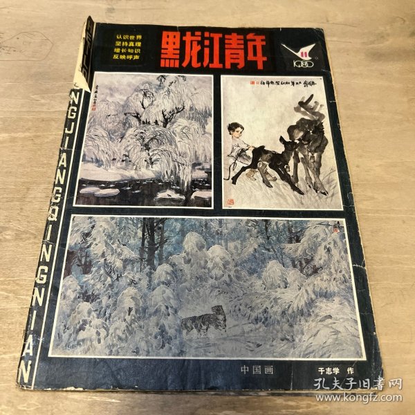 黑龙江青年 1980 11期