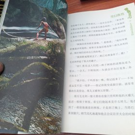 奇幻森林原著小说