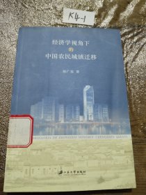 经济学视角下的中国农村城镇迁移