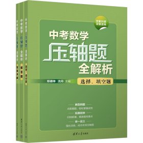 中考数学压轴题全解析(全3册)