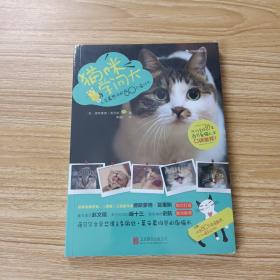 猫咪学问大：80个人类最想问的喵什么