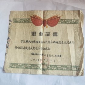 毕业证书（绥中县双龙庙小学）