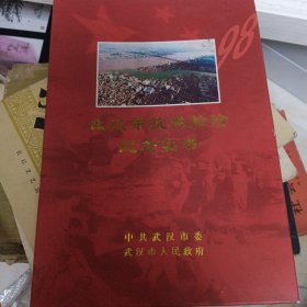 武汉市抗洪抢险纪念证书