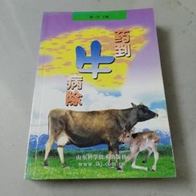 药到牛病除（2002年1版1印）