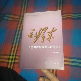 大型电视纪录片《毛泽东》:1893----1993