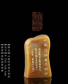 （保真）中国美术学院青年篆刻家韩紫默篆刻作品——山林作伴风月相知