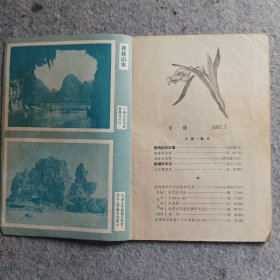 少年文艺1957年第1期