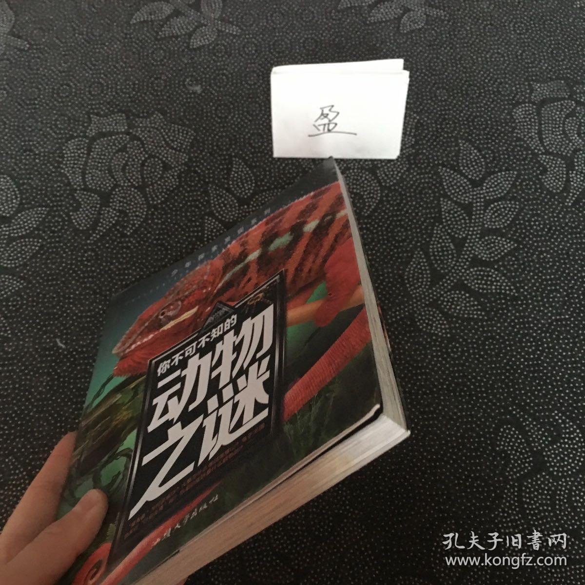 你不可不知的动物之谜 世界未解之谜