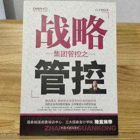 集团管控之战略管控