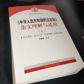 中华人民共和国民法总则 条文理解与适用（套装上下册）