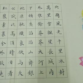 丁鸿伟 书法作品 (小幅无印款)