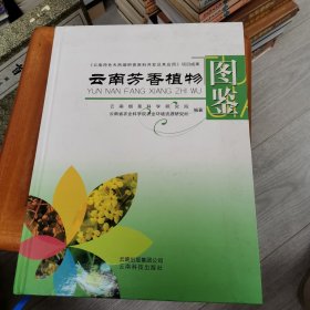 云南芳香植物图鉴