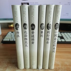 吴尔夫文集：到灯塔去，一间自己的房间，幕间，普通读者，达洛维太太，海浪（全六册）精装