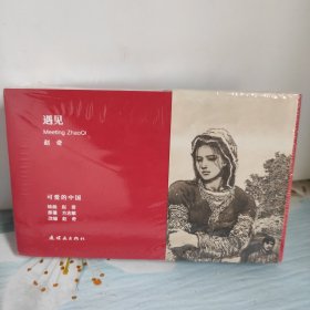 遇见赵奇(共3册)
