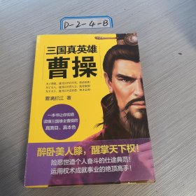 三国真英雄曹操