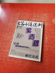 长篇小说选刊 2010年第4期